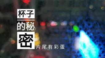 葫芦岛饭店爆料事件视频,事件真相揭秘